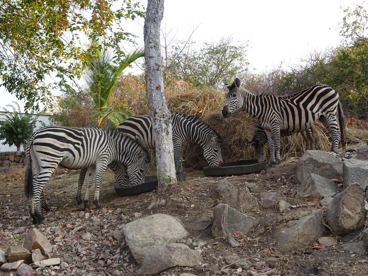 Lake Kariba Inns Siavonga Εξωτερικό φωτογραφία